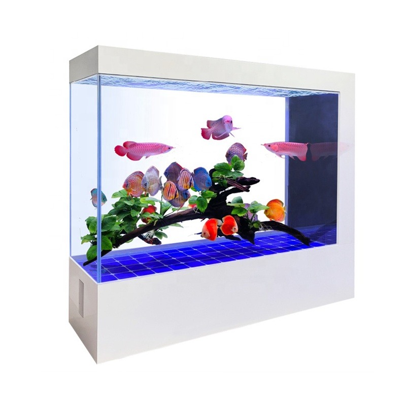 Aquário de Vidro Preto com Des - Aquarium Fish And Price avaliação e preço