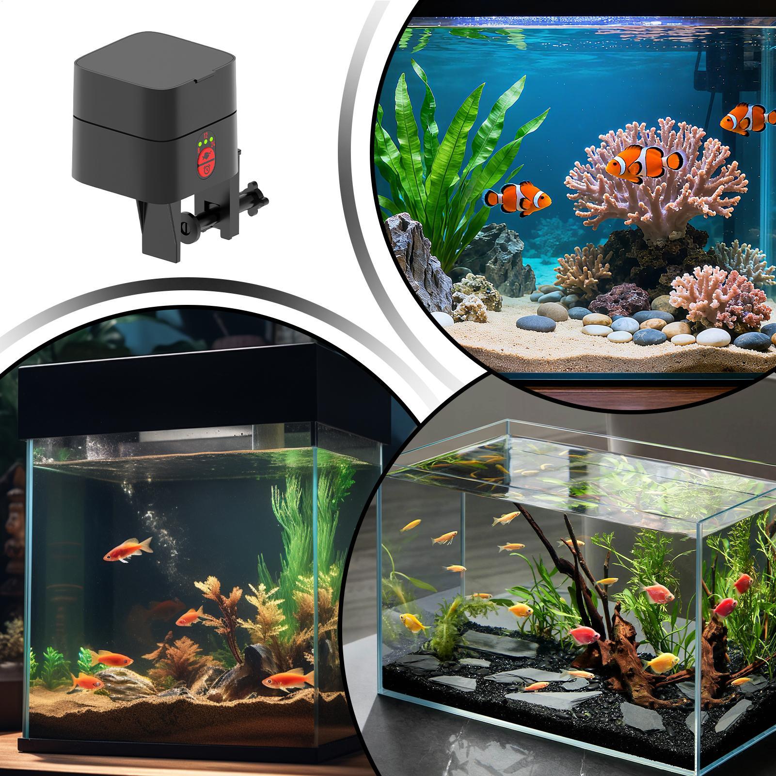 Alimentador automático de peix - Aquarium Fish Feeder avaliação e preço