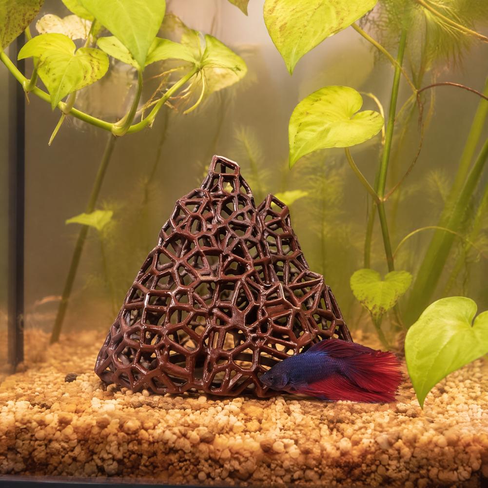 Ornamento para Aquário: Decora - Fish In Aquarium Picture avaliação e preço