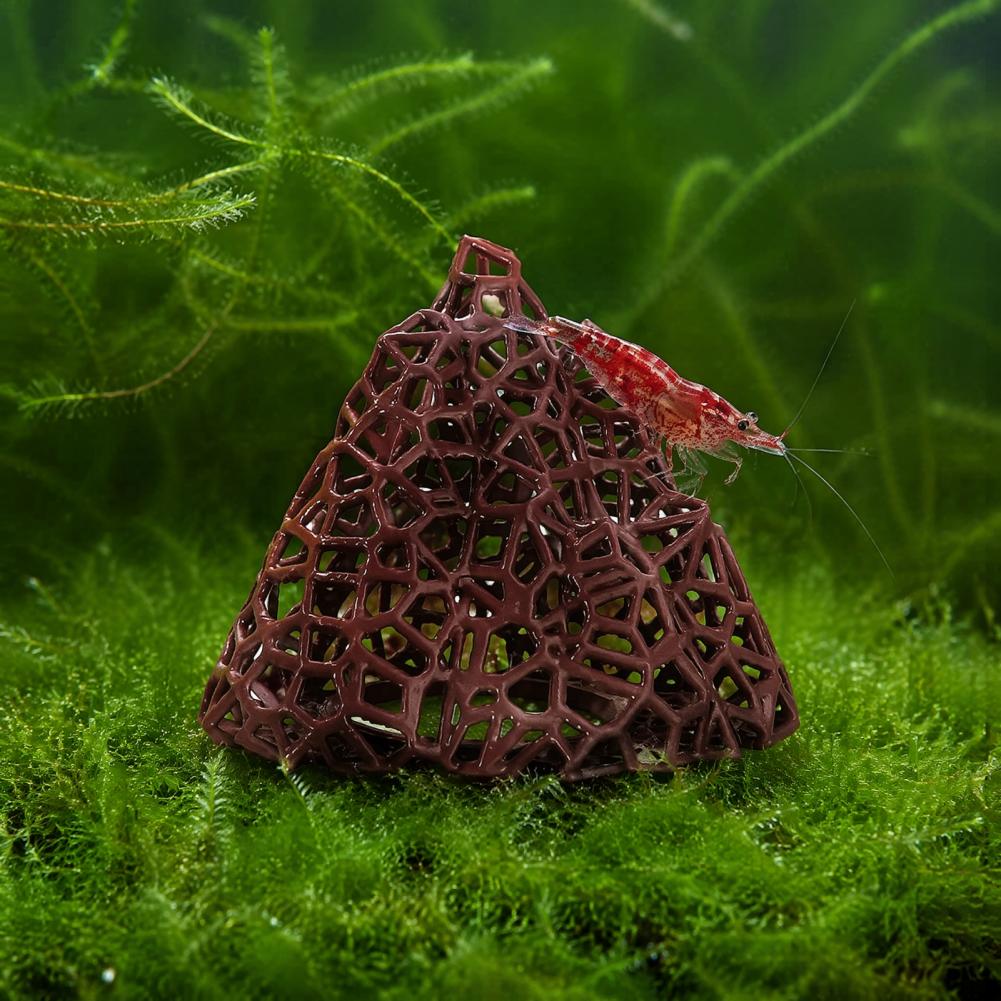 Ornamento para Aquário: Decora - Fish In Aquarium Picture avaliação e preço