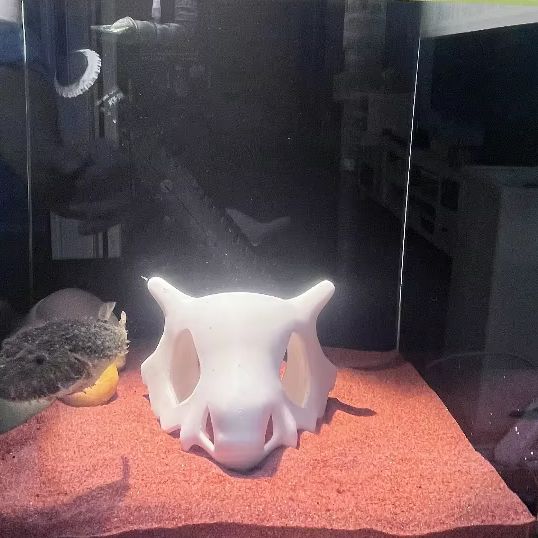 3d impresso filme camarão répt - Aquarium Fish Hideout avaliação e preço