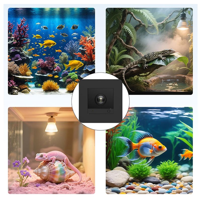 【Redução de Preço!】 Câmera par - Aquarium Fish And Price avaliação e preço