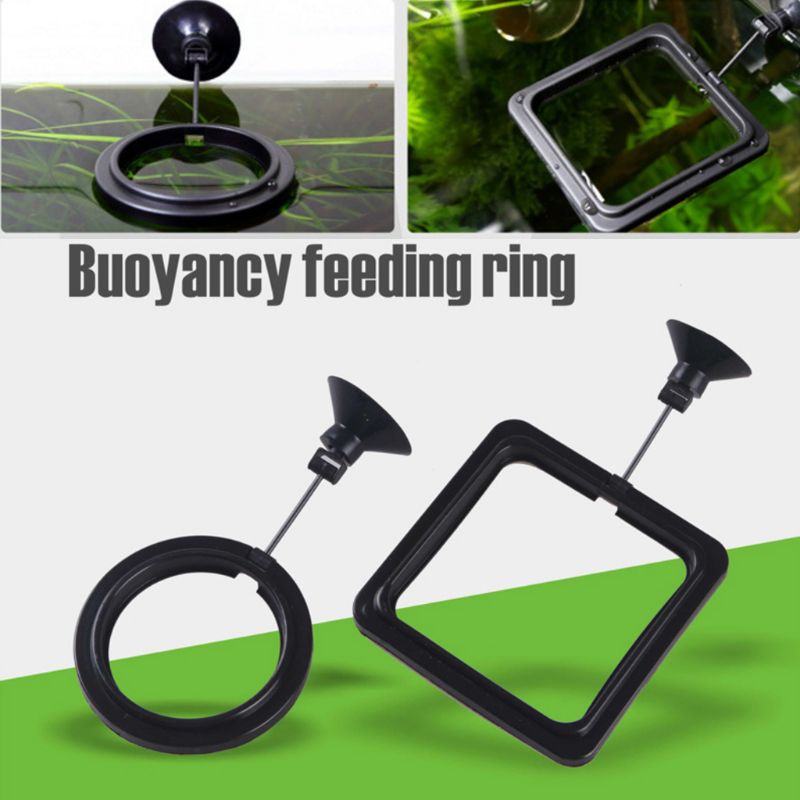Anel Alimentador de Peixes par - Aquarium Fish Feeder avaliação e preço