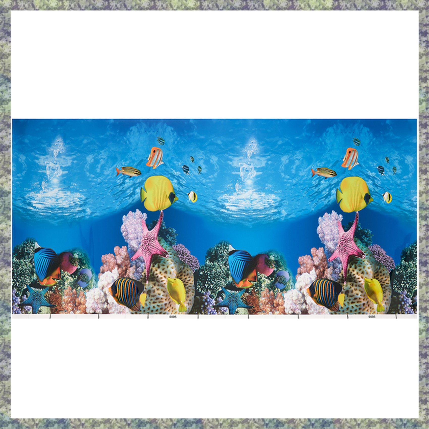 WON papel de fundo de aquário  - Fish In Aquarium Picture avaliação e preço