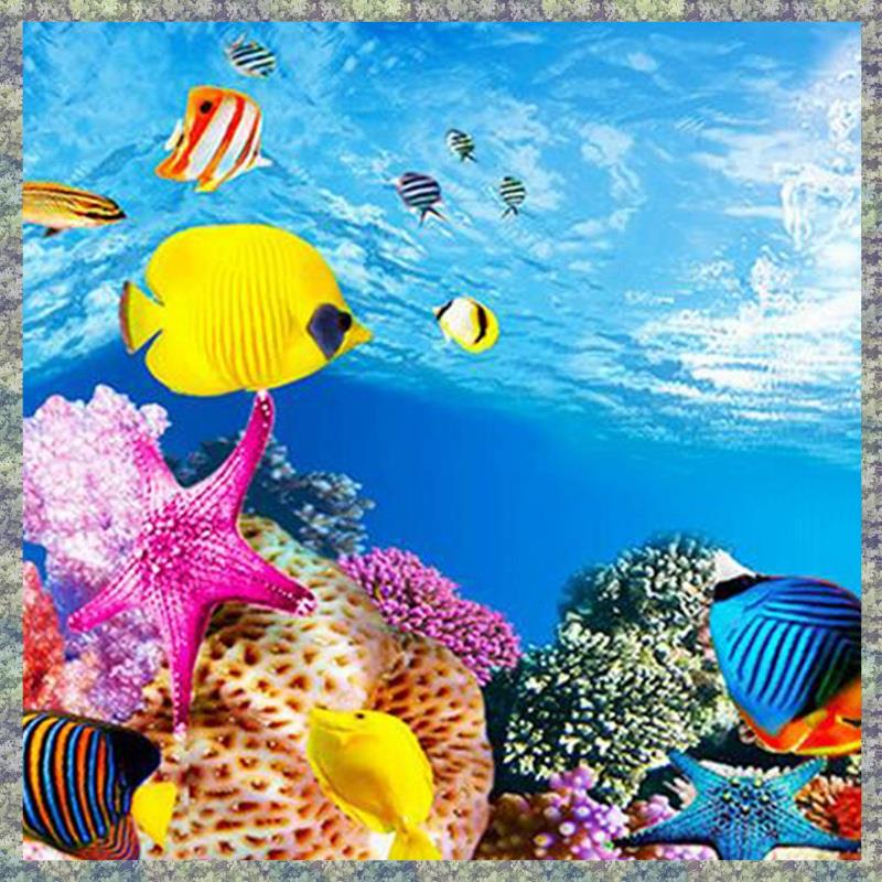 WON papel de fundo de aquário  - Fish In Aquarium Picture avaliação e preço