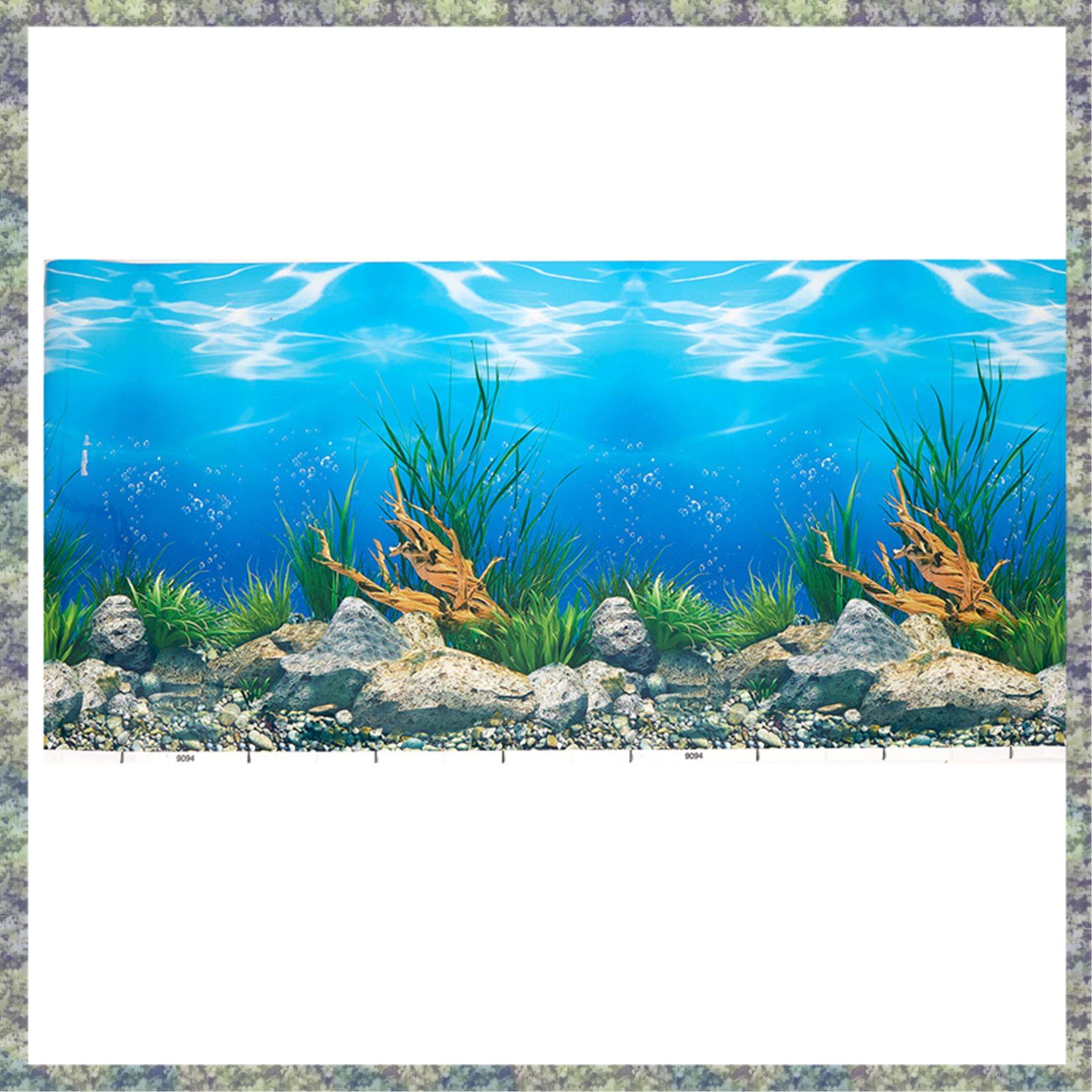 WON papel de fundo de aquário  - Fish In Aquarium Picture avaliação e preço