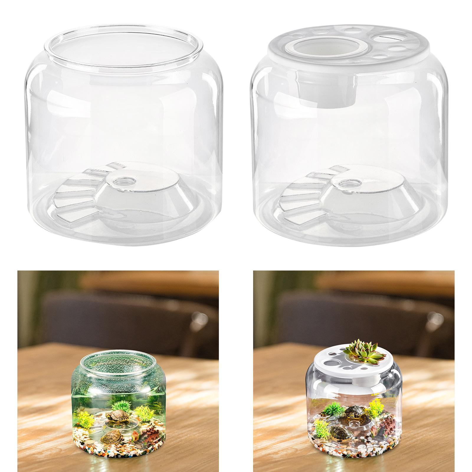 Aquário Transparente de Alta C - Draw Fish Aquarium avaliação e preço